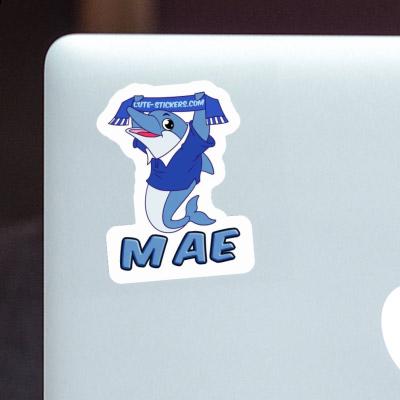 Dolphin Sticker Mae Image