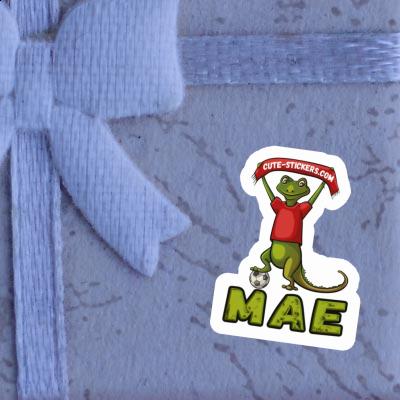 Sticker Mae Lizard Notebook Image