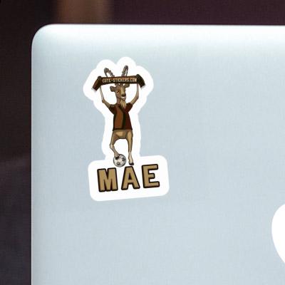 Steinbock Sticker Mae Laptop Image