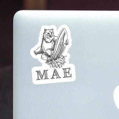 Sticker Bear Mae Laptop Image