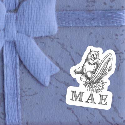 Sticker Bear Mae Gift package Image