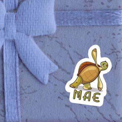 Sticker Yoga Turtle Mae Image