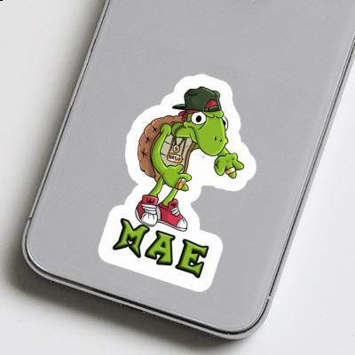 Hip Hop Turtle Sticker Mae Image