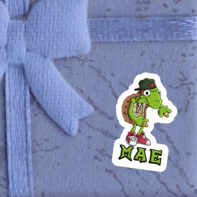 Hip Hop Turtle Sticker Mae Gift package Image