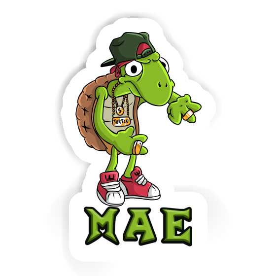 Hip Hop Turtle Sticker Mae Notebook Image