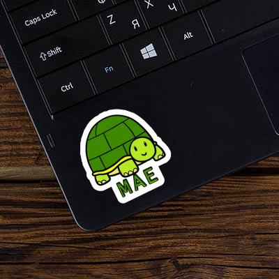 Sticker Turtle Mae Gift package Image