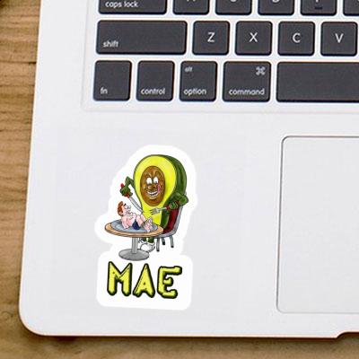 Avocado Sticker Mae Gift package Image