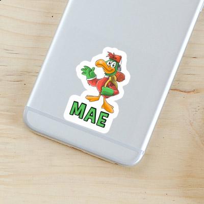 Sticker Wanderer Mae Gift package Image