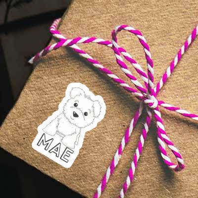 Autocollant Westie Mae Gift package Image