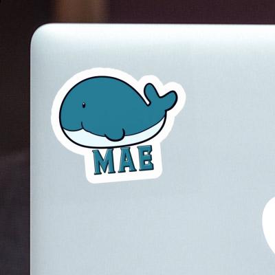 Whale Sticker Mae Laptop Image