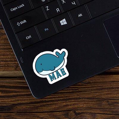 Whale Sticker Mae Gift package Image