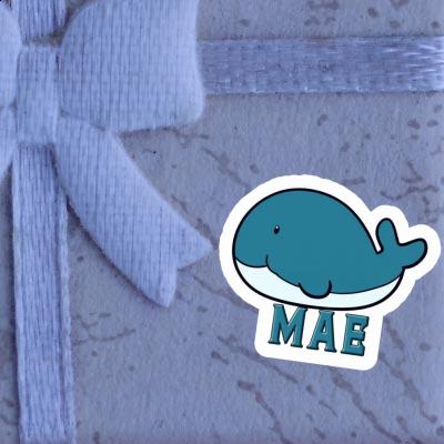 Whale Sticker Mae Laptop Image