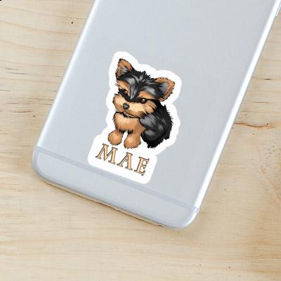 Sticker Yorkshire Terrier Mae Laptop Image