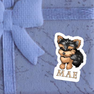 Sticker Yorkshire Terrier Mae Notebook Image