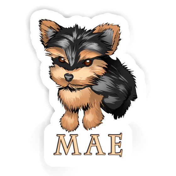 Sticker Yorkshire Terrier Mae Gift package Image