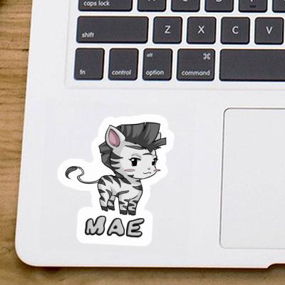 Mae Sticker Zebra Gift package Image