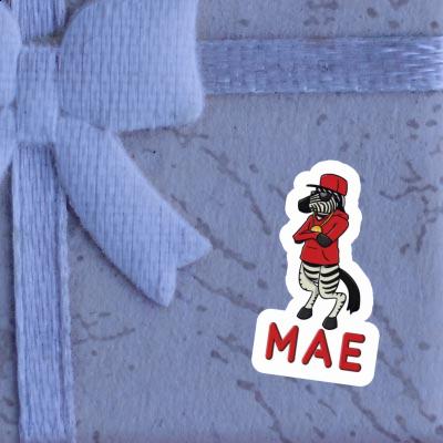 Mae Sticker Zebra Gift package Image