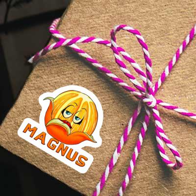 Magnus Sticker Orange Notebook Magnus Sticker Orange Gift package Image