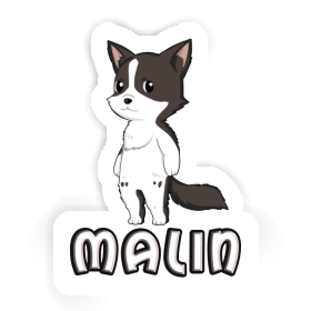 Border Collie Sticker Malin Image