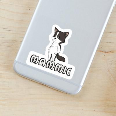 Sticker Mammie Border Collie Gift package Image