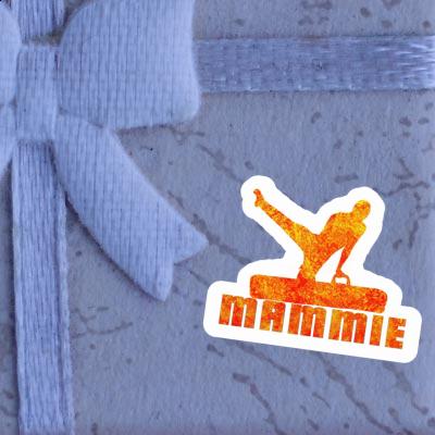 Mammie Sticker Gymnast Gift package Image