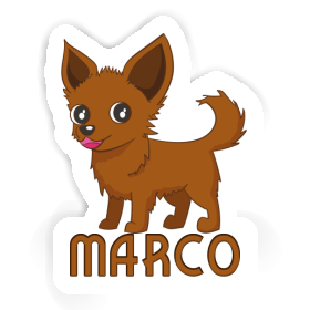 Sticker Marco Chihuahua Image