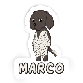 Sticker Small Munsterlander Marco Image
