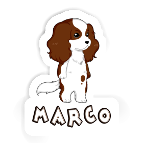 Sticker Cavalier King Charles Spaniel Marco Image