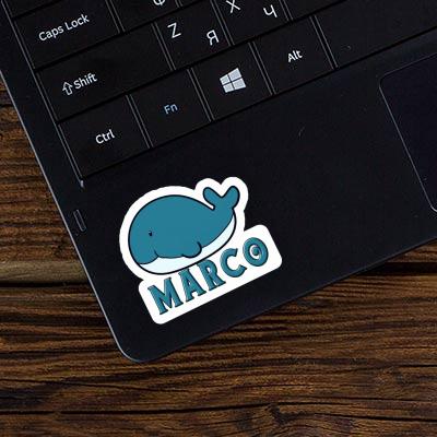 Whale Fish Sticker Marco Image