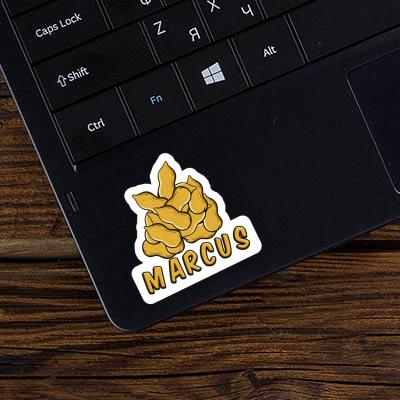 Sticker Nuss Marcus Sticker Nuss Marcus Image