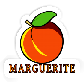 Aprikose Sticker Marguerite Image