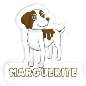 Sticker Bretagne Spaniel Marguerite Image
