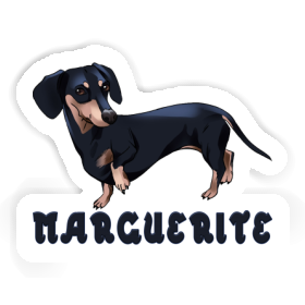 Sticker Dachshund Marguerite Image