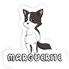 Marguerite Sticker Border Collie Image