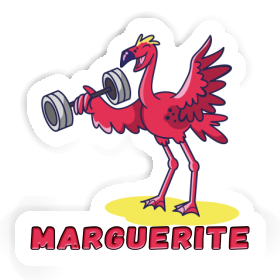 Autocollant Marguerite Flamant rose Image