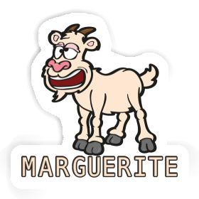 Chèvre Autocollant Marguerite Image