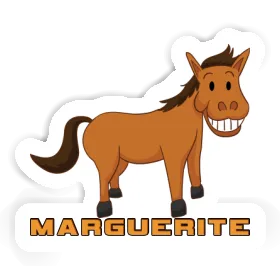 Autocollant Marguerite Cheval Image