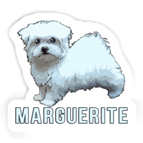 Marguerite Sticker Maltese Dog Image