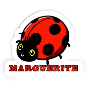 Autocollant Coccinelle Marguerite Image