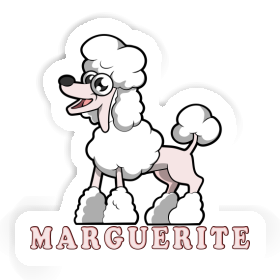 Sticker Poodle Marguerite Image