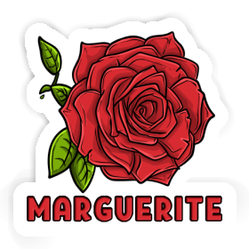 Rose Autocollant Marguerite Image