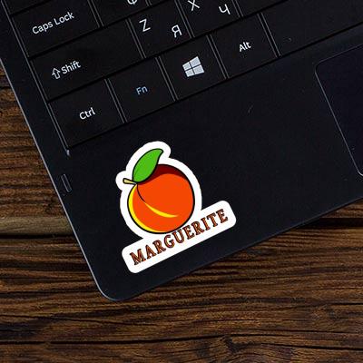 Aprikose Sticker Marguerite Notebook Aprikose Sticker Marguerite Gift package Image