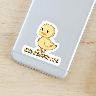 Marguerite Sticker Duck Image