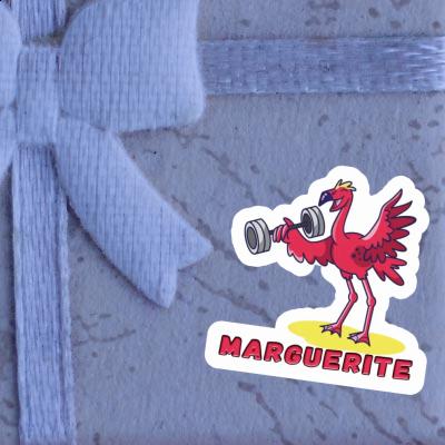 Sticker Flamingo Marguerite Sticker Flamingo Marguerite Image