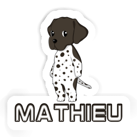 Sticker Deutsch Kurzhaar Mathieu Image
