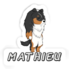 Sticker Shetland Sheepdog Mathieu Image
