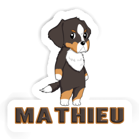 Aufkleber Mathieu Berner Sennenhund Image