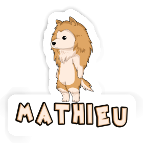 Aufkleber Collie Mathieu Image