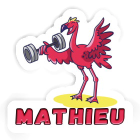 Autocollant Mathieu Flamant rose Image