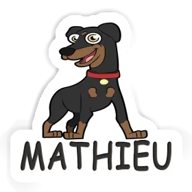 Sticker Mathieu Pinscher Image